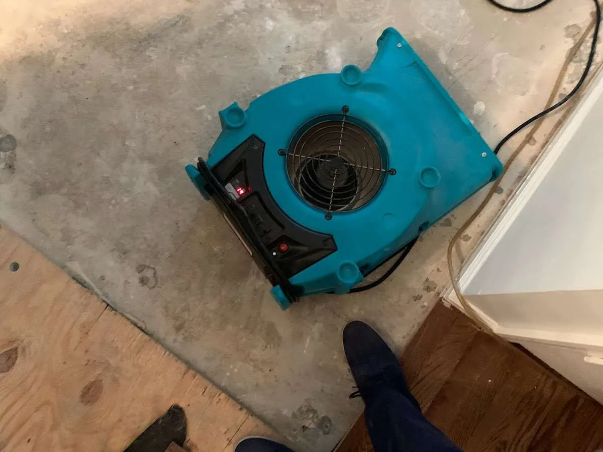 Air mover drying subfloor during Leak Detection & Repair in Kentwood
